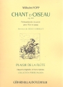 Chant d'Oiseau op.324 pour Flte et Piano
