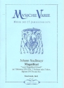 Magnificat II im 8.Ton fr Soli, gem Chor, 2 Zinken (Violinen) und Bc Partitur und Stimmen