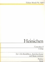 Concerto C-Dur à 8 für 4 Altblockflöten, Streichorchester und Bc Partitur und Stimmen (Soli-Cembalo-1-1-1-1-1)
