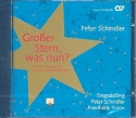 Großer Stern was nun CD für Kinderchor, darstellende Solisten und Klavier