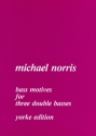 Bass Motives for 3 double basses score and parts
