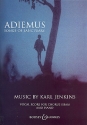Adiemus - Songs of Sanctuary fr Frauenchor (SSAA), Blockflte, Streicher und Schlaginstrumente (od Klavierauszug