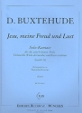 Jesu meine Freud und Lust Solo-Kantate BuxWV59 fr Alt, 2 Violinen, Viola, Violoncello (VaG) und Bc, Stimmen
