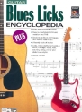 Blues Licks Encyclopedia for guitar/TAB