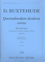 Quemadmodum desiderat cervus fr Tenor, 2 Violinen und Bc Partitur und Stimmen