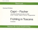 Capri-Fischer und Frühling in Toscana für Blasmusik