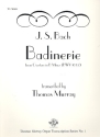 Badinerie from Ouverture BWV7067 for organ