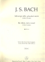 Schweiget stille plaudert nicht BWV211 Kantate Nr.211 BWV211 Violine 1