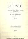 Schweiget stille plaudert nicht BWV211 Kantate Nr.211 BWV211 Violine 2