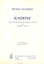 Kadenz zum Konzert D-Dur (1.Satz) fr Violoncello und Orchester von J.Haydn fr Violoncello