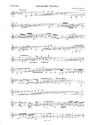 Sinfonie Nr.13 c-Moll fr Streicher und Bc Violine 2
