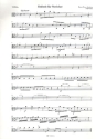 Sinfonie Nr.13 c-Moll fr Streicher und Bc Viola