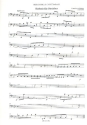 Sinfonie Nr.13 c-Moll fr Streicher und Bc Violoncello/Kontrabass