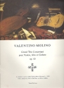 Grand Trio Concertant op.10 pour violon, alto et guitare parts