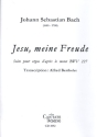 Jesu, meine Freude fr Orgel