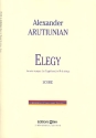 Elegy for trumpet (flugelhorn) and strings score