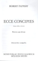 Ecce concipies Motette zum Advent fr Mnnerchor a cappella Partitur
