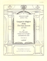 Largos und Adagios from 'The four Seasons' for alto recorder, harpsichord (organ) and opt. cello