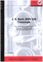 Sonate BWV529 fr 2 Klarinetten und Fagott (3 Klarinetten, 2 Klarinetten und Baklarinette) Partitur und Stimmen