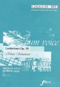 Liederkreis op.39 Playalong-CD fr mittlere Stimme