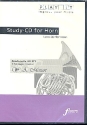 Rondo Es-Dur KV371 für Horn und Klavier Playalong-CD