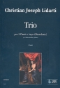Trio per 2 flauti e Arpa (pianoforte)