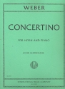 Concertino e minor op.45 for horn and orchestra for horn and piano