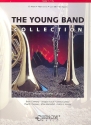 The young Band Collection horn in es