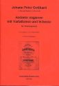 Andante ongarese mit Variationen und Scherzo fr Streichquartett Partitur und Stimmen