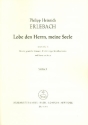 Lobe den Herrn meine Seele fr gem Chor, Streichorchester und Bc Violine 2