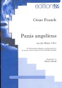 Panis Angelicus aus der Messe A-Dur fr Mezzosopran (Sopran) und Zupforchester Partitur