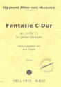 Fantasie C-Dur op.11 NV25 für Orchester Partitur
