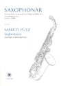 Septentrion fr 7 Saxophone (SoSAATBarB) Partitur und Stimmen