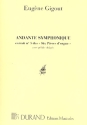 Andante Symphonique pour orgue