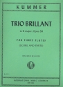 Trio Brillant d major op.30 for 3 flutes score+parts