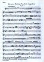 Magnificat fr Chor und Streichorchester Streicherset (1-1-1-1)