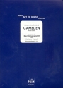 Camelien Polka fr 2 Trompeten, Horn, Posaune und Tuba Partitur und Stimmen