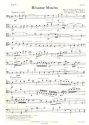 Evergreens in Concert Band 2 für Violine, Violoncello und Klavier (Bläser ad lib) Fagott