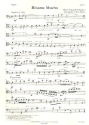 Evergreens in Concert Band 2 fr Violine, Violoncello und Klavier (Blser ad lib) Fagott