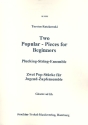 2 Popular Pieces for Beginners fr Zupforchester Rhythmusgitarre
