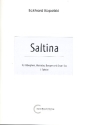 Saltina für Vibraphon, Marimba, Bongos und Drum-Set Partitur und Stimmen