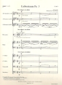 Liebestraum Nr.3 fr Kammerorchester Partitur