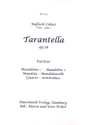 Tarantella op.18 fr Zupforchester Partitur