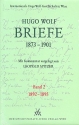 Briefe Band 2 (1892-1895)  
