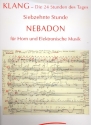 Nebadon fr Horn und Elektronik Partitur mit Auffhrungshinweisen