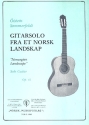 Fra et norsk landskap op.61 for guitar