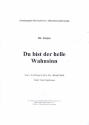 Du bist der helle Wahnsinn fr Keyboard (Akkordeon) und Gesang Einzelausgabe
