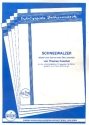 Schneewalzer fr 1-2 Konzertzithern (Wiener Stimmung) Stimmen (mit Text und Akkorden)