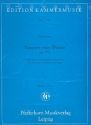 Tangente eines Walzers op.65b für Akkordeon, Tenor-Hackbrett und Klavier Stimmen