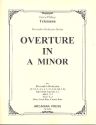 Overture in a minor for recorder orchestra score and parts